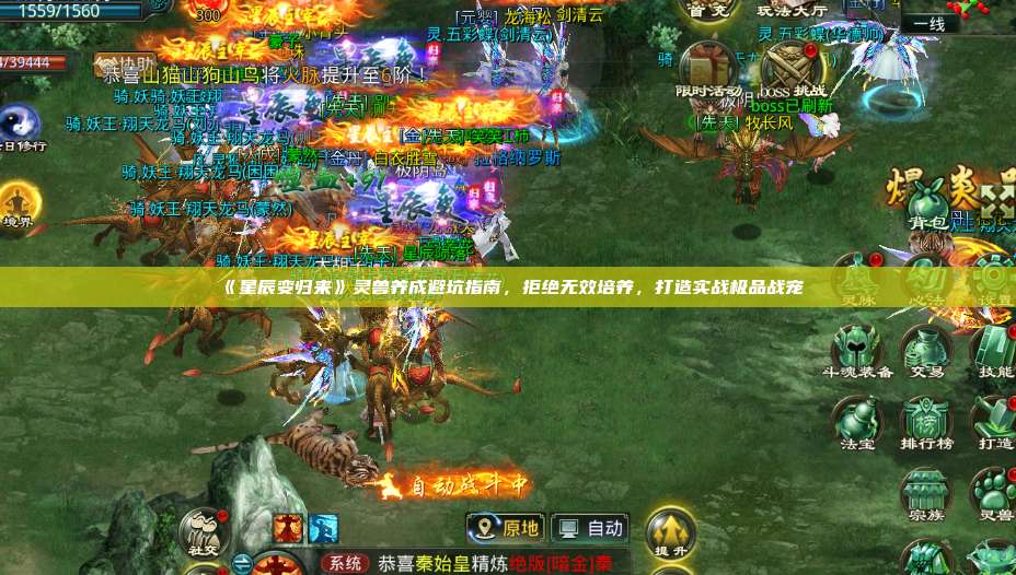 《星辰变归来》灵兽养成避坑指南,拒绝无效培养,打造实战极品战宠 第1张 《星辰变归来》灵兽养成避坑指南,拒绝无效培养,打造实战极品战宠 第1张